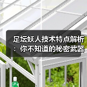 足坛妖人技术特点解析：你不知道的秘密武器-图6
