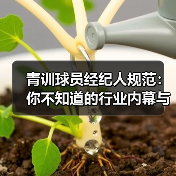 青训球员经纪人规范：你不知道的行业内幕与实操技巧-图5