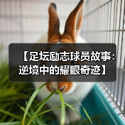 皇马粉丝中文站 –-图4