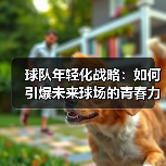皇马粉丝中文站 –-图6