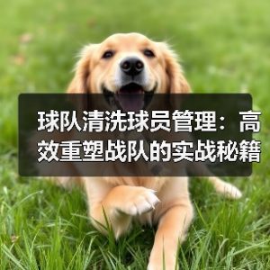 皇马粉丝中文站 –-图6