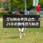皇马粉丝中文站 –-图5