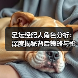 皇马粉丝中文站 –-图5