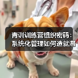 皇马粉丝中文站 –-图12