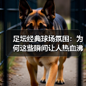 皇马粉丝中文站 –-图14
