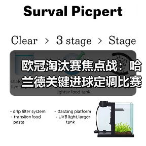皇马粉丝中文站 –-图18